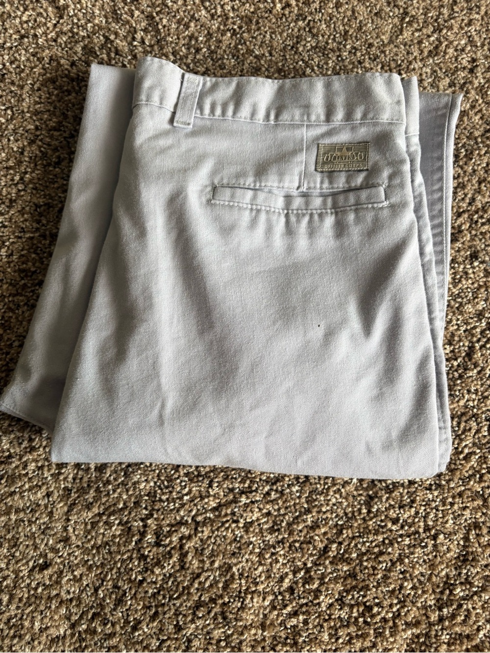 Levi's Light Gray Pleated Chino Pants